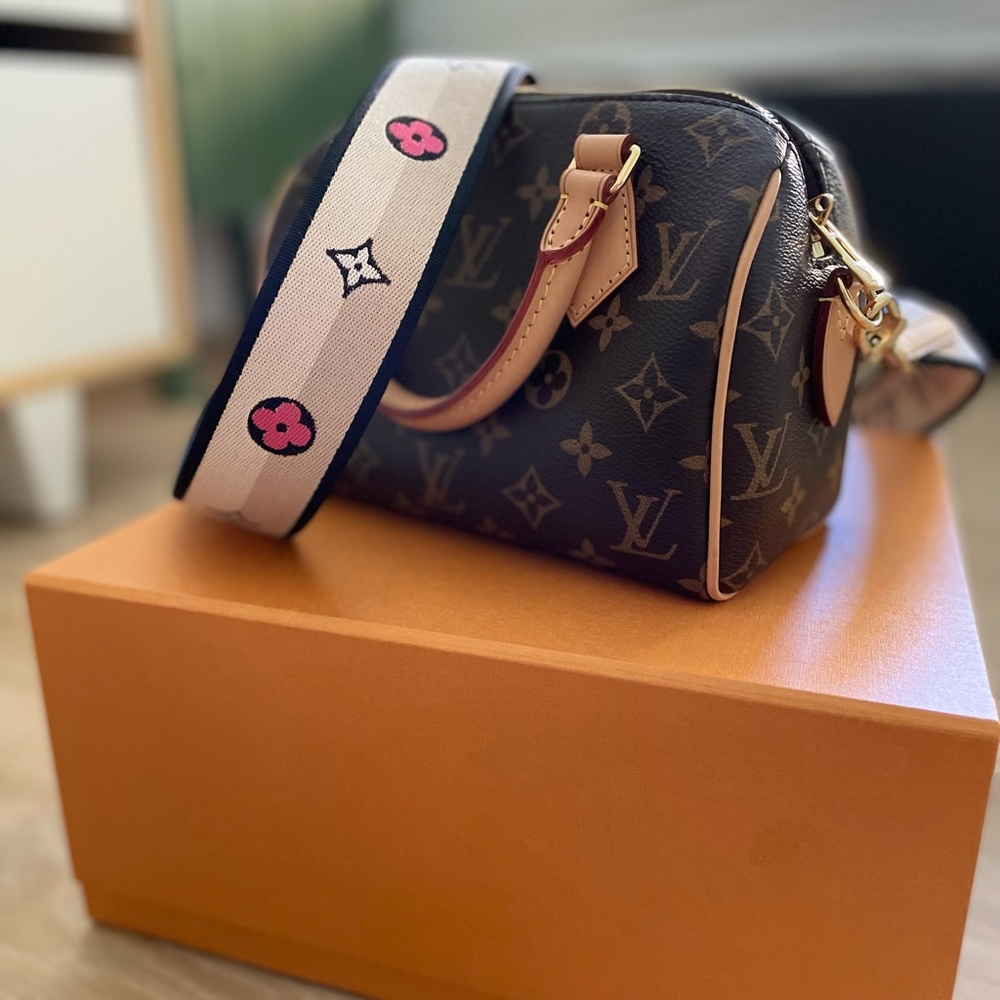 Louis Vuitton Speedy 20